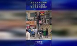 第三视角爆料视频下载安装,下载安装全攻略