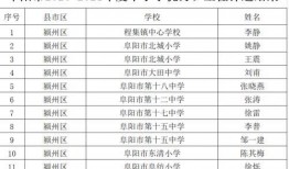 中转盘皮肤最新爆料返场